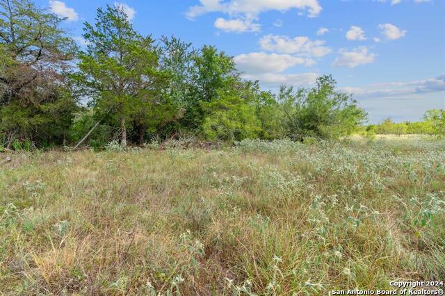 689 Chamberlin Road Property Photo 24