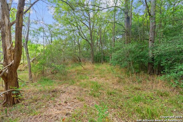 689 Chamberlin Road Property Photo 25