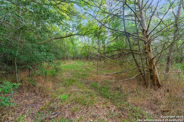 689 Chamberlin Road Property Photo 26
