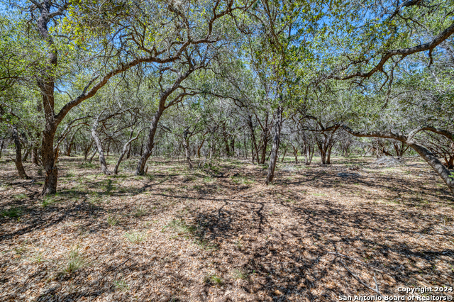 1023 Mariposa Ave Property Photo 36