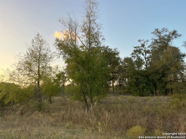 735 Old Zorn Rd Property Photo 8