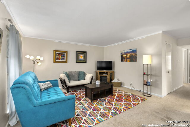 8401 N New Braunfels Ave Property Photo 15