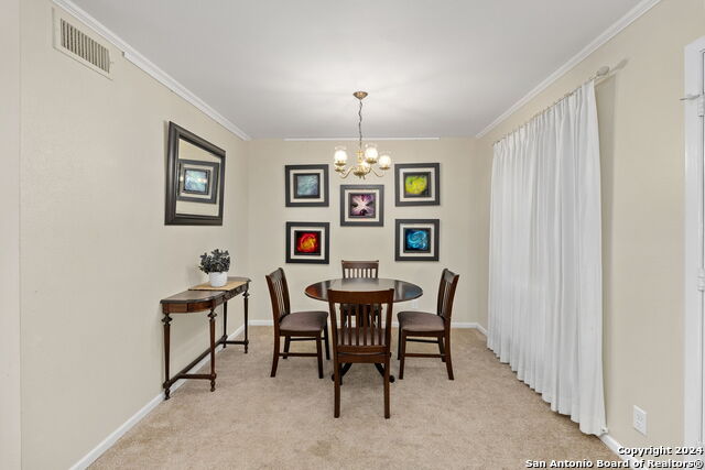 8401 N New Braunfels Ave Property Photo 20