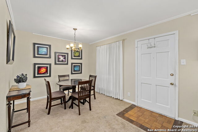 8401 N New Braunfels Ave Property Photo 21