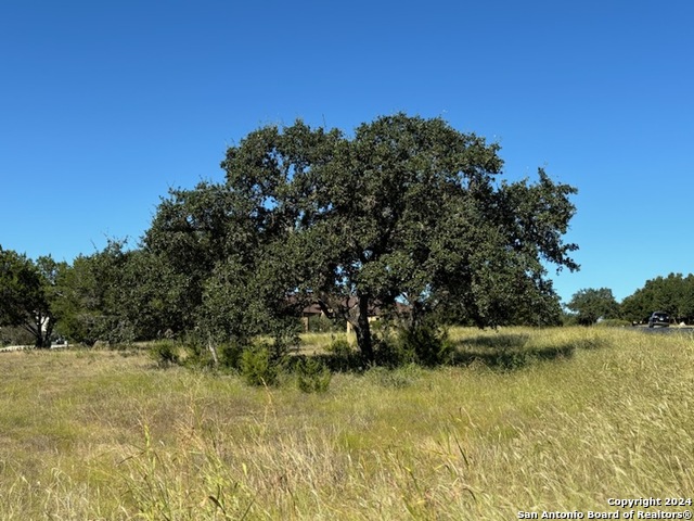 707 Haven Point Loop Property Photo 7