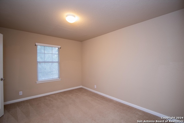 9171 Everton Property Photo 18