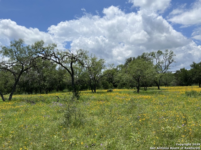 412 Lebouf Rd Property Photo 7