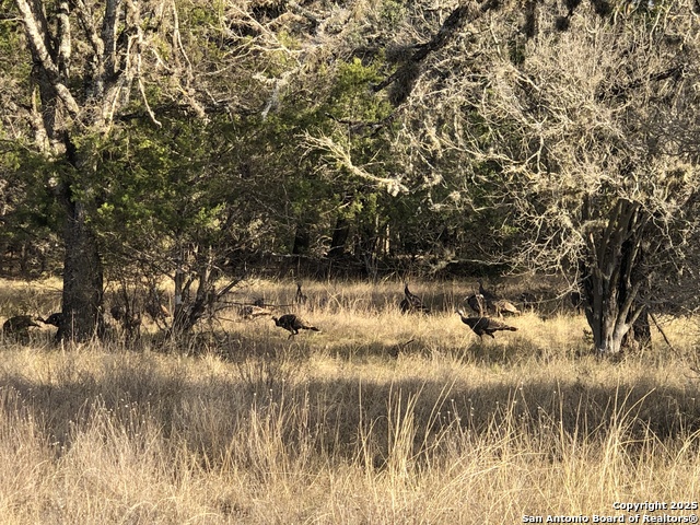 412 Lebouf Rd Property Photo 23
