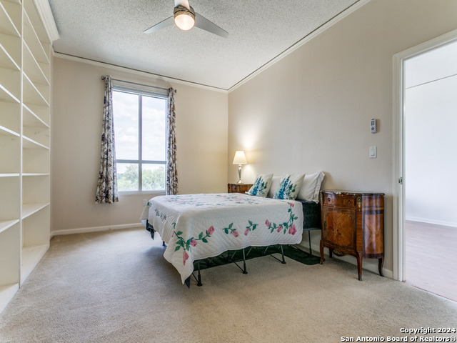 1 Towers Park Ln Property Photo 15