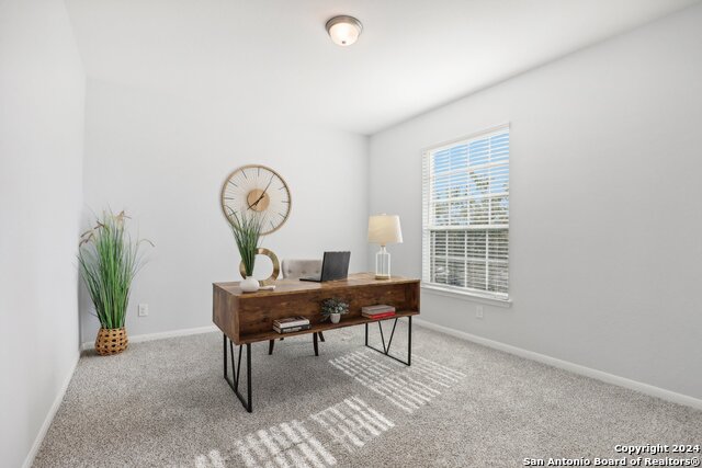 4117 Monteverde Vw Property Photo 24