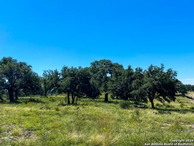 LOT 68 Loma Vista Ranch Property Photo 1