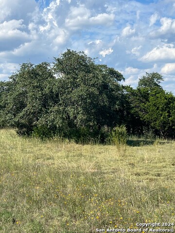 317 Bosque Ridge Property Photo 1