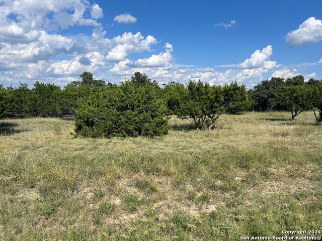 317 Bosque Ridge Property Photo 2