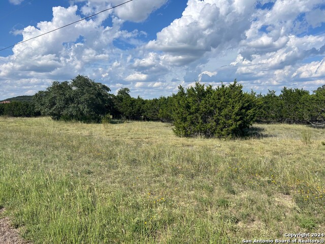 317 Bosque Ridge Property Photo 3