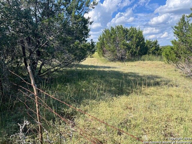 317 Bosque Ridge Property Photo 5