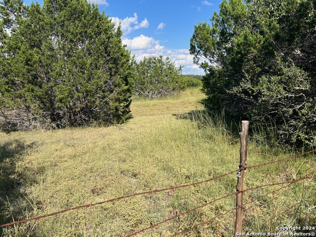 317 Bosque Ridge Property Photo 6
