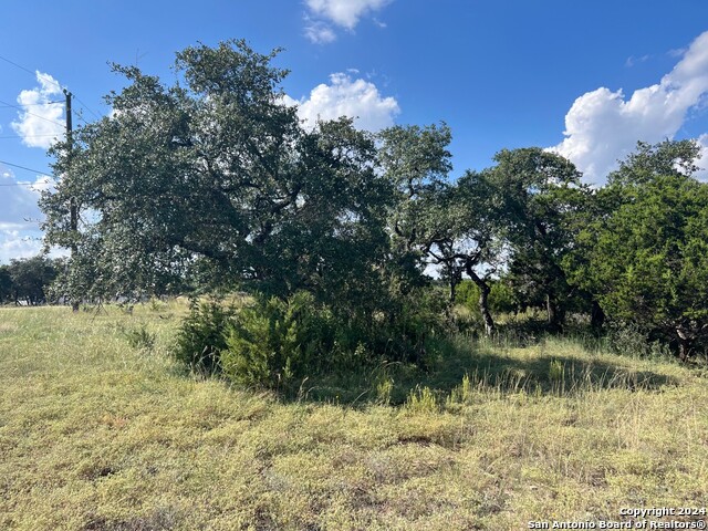317 Bosque Ridge Property Photo 7