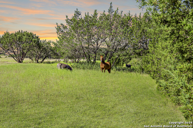 3656 Fm 2657 Property Photo 7