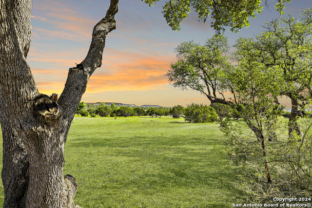 3656 Fm 2657 Property Photo 11