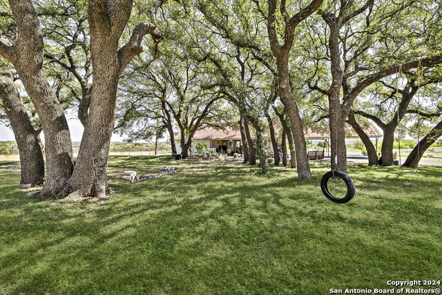 3656 Fm 2657 Property Photo 25