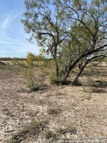 Tbd Eagle Way Property Photo 6
