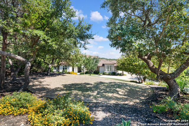 11426 Anaqua Spgs Property Photo