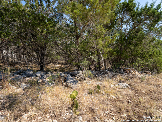 113 S John Bird Property Photo 7