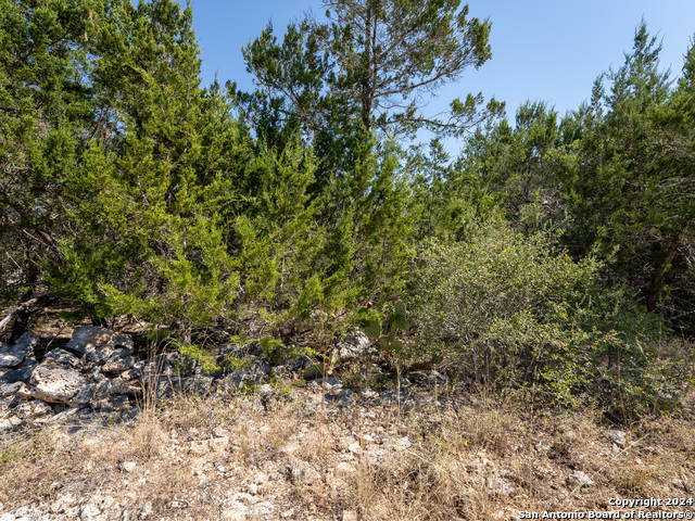 113 S John Bird Property Photo 8