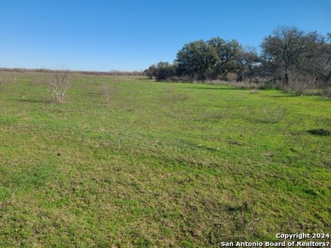 Tbd Tract 1 St Hwy 119 Property Photo 3