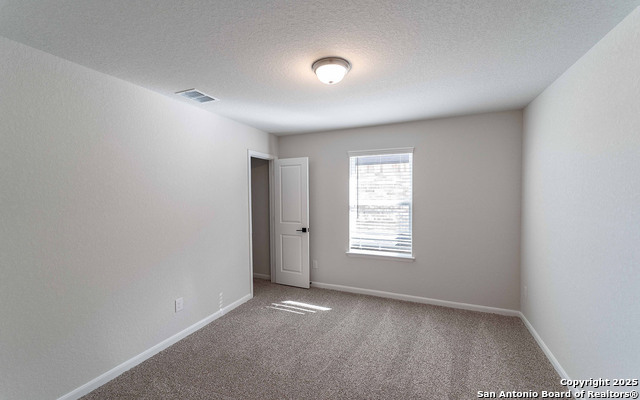 12926 Hush Drive Property Photo 14