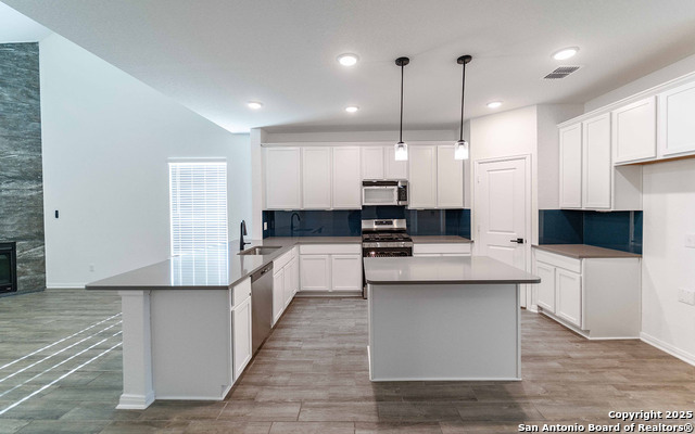 12810 Hush Drive Property Photo 5