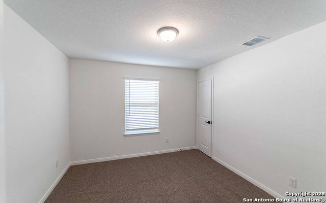 12810 Hush Drive Property Photo 13