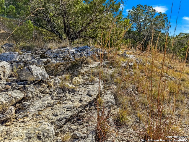 2900 Rocky Ridge Loop Property Photo 3