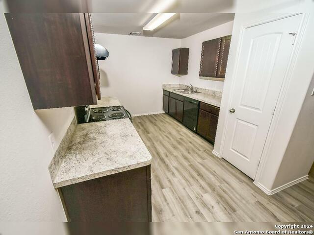 10614 Apple Pie Property Photo 5