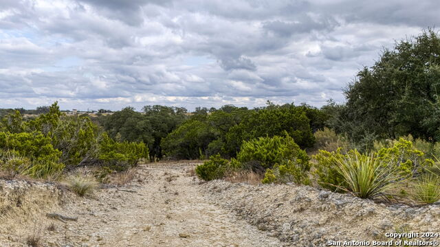 108 Bitter Spgs Property Photo 4