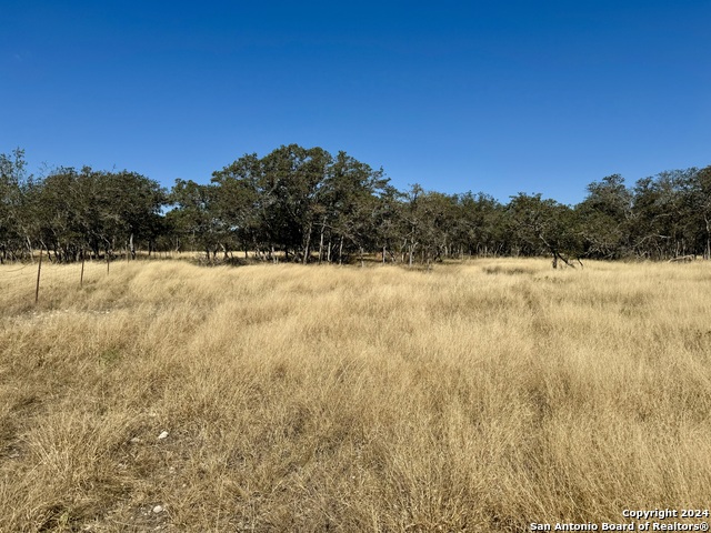 320 Sky Harbor Property Photo 23