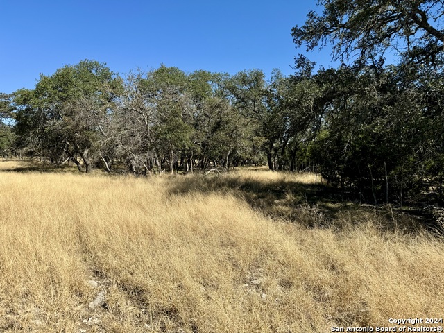 320 Sky Harbor Property Photo 24
