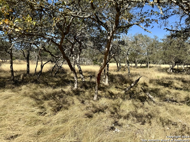320 Sky Harbor Property Photo 26