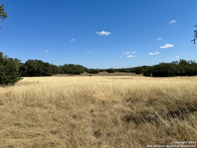 320 Sky Harbor Property Photo 31