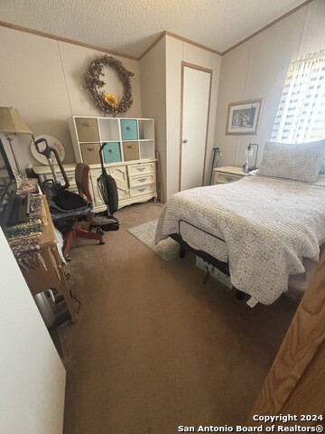 7971 Pronghorn Dr Property Photo 25