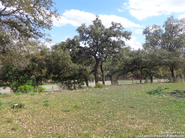 1011 Canyon Springs Dr Property Photo 2