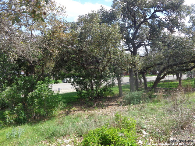 1011 Canyon Springs Dr Property Photo 7