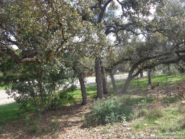 1011 Canyon Springs Dr Property Photo 9