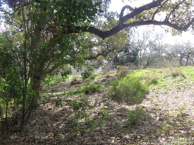 1011 Canyon Springs Dr Property Photo 10