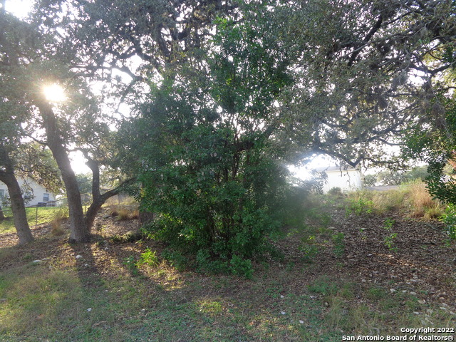 1011 Canyon Springs Dr Property Photo 15