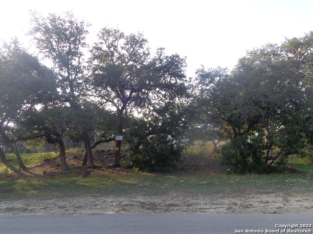 1011 Canyon Springs Dr Property Photo 17
