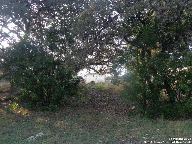 1011 Canyon Springs Dr Property Photo 20
