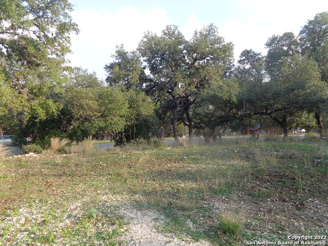 1011 Canyon Springs Dr Property Photo 22