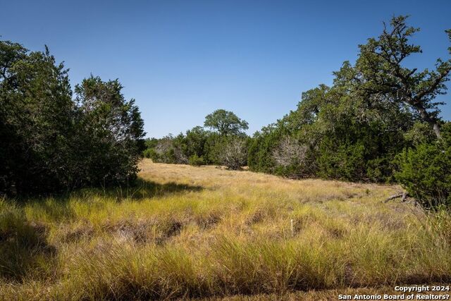 Lot 41 Sotol Ln Property Photo 1