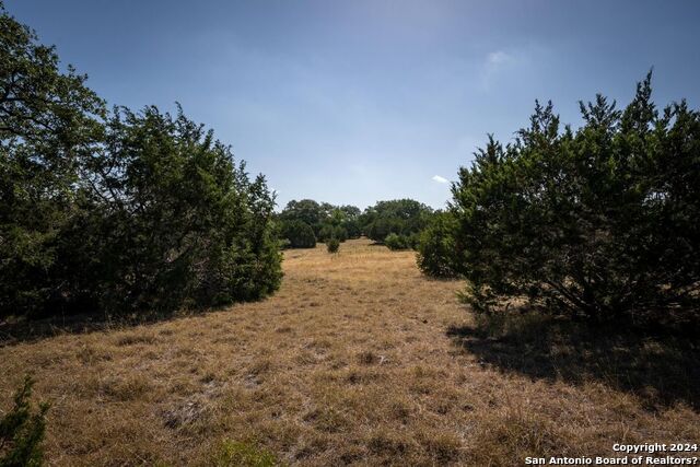 Lot 41 Sotol Ln Property Photo 2